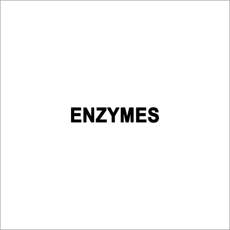 Textile Enzymes
