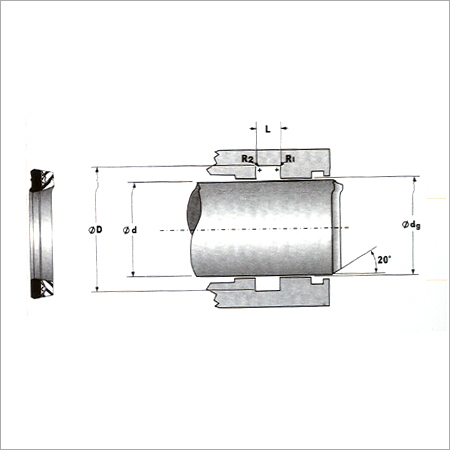 Fluid Power Seals