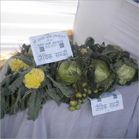 Organic Vegetables - Naturally Grown, Biodegradable Packaging | Freshness, Pesticide-Free, Long Shelf Life, High Nutrition