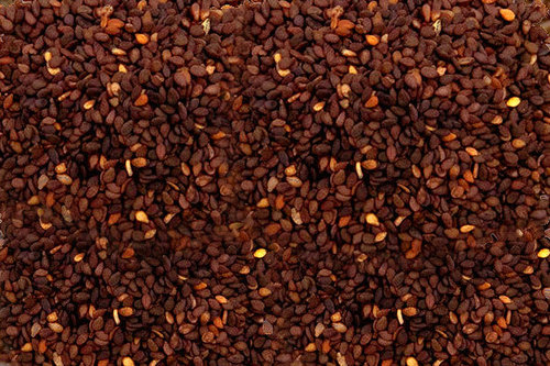 Sesame brown