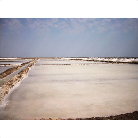 Salt Crystalizers