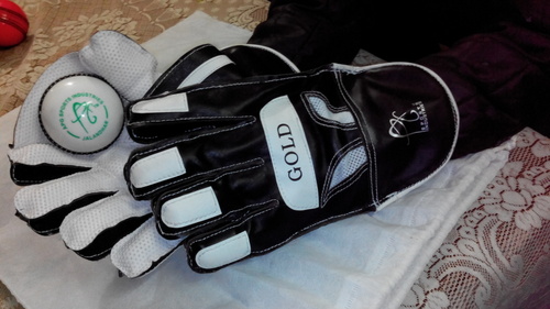 Multicolour Apg Wicket Keeping Gloves (Gold)