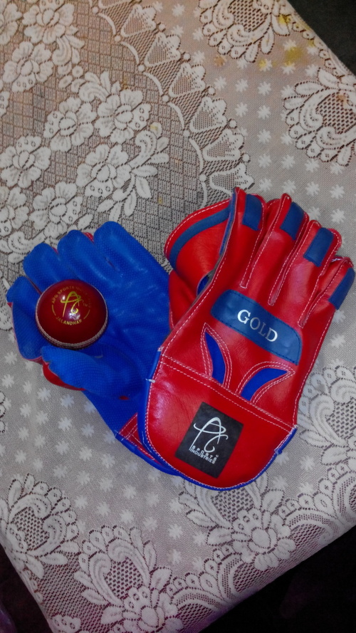 APG Wicket Keeping Gloves - Kid Leather & Microfiber Lining | Lightweight, High Grip Pimple Rubber Facing, Multicolour Design, Dustproof & Waterproof, Reinforced Finger Tips