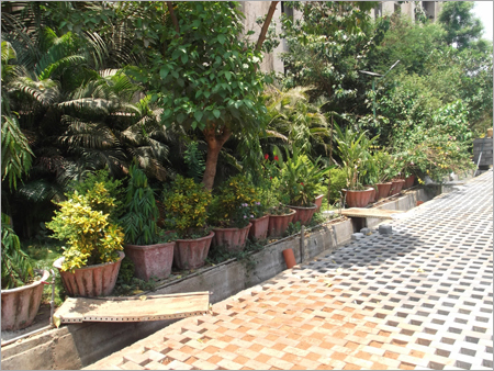 Environmental Planning