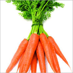 Organic Carrot