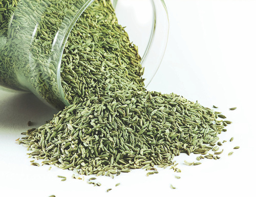 Ani Seeds