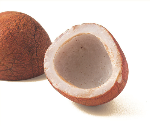Coconut & Hubs