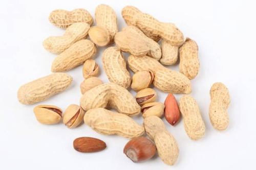 Groundnut in shell