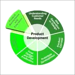 Software Development Service