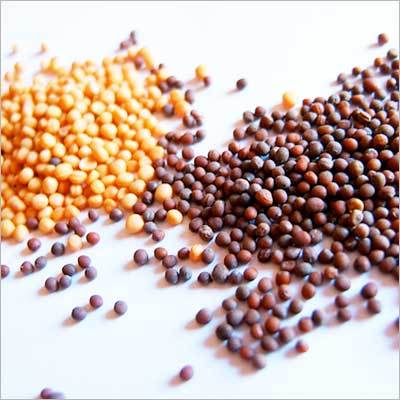 Mustard Seeds