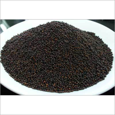 Black Mustard Seeds