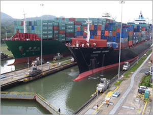 Clearing and Forwarding