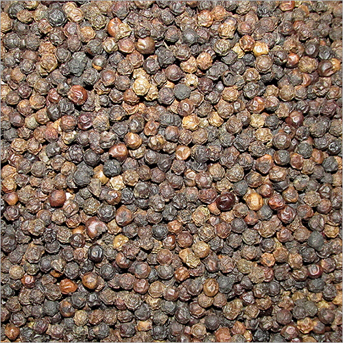Black Pepper