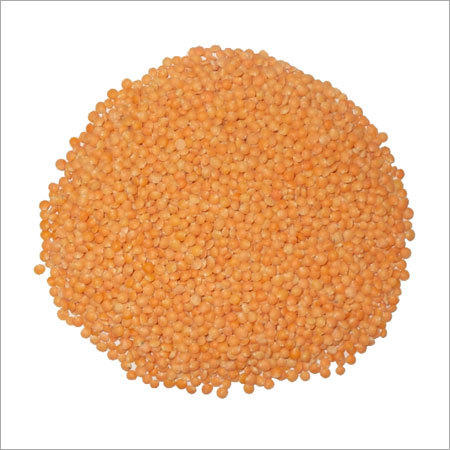 Malka Masoor Dal