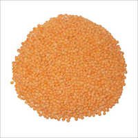 Malka Masoor Dal - Red Lentils 5-7mm Orange, 25% Protein | Naturally Grown, Freshness, Husk Free, Long Shelf Life