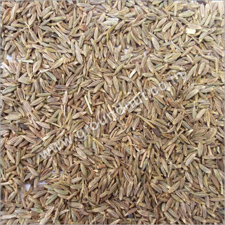 Organic Cumin Seed