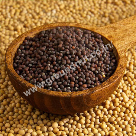 Organic Mustard Seeds