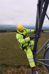 Comprehensive Site Maintenance