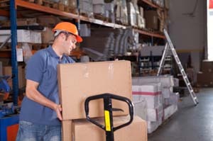 Warehouse Manpower