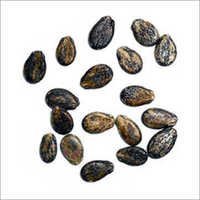Watermelon Seeds