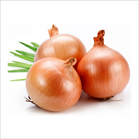 Fresh Red Onions