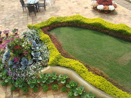 Landscape Designing & Execute