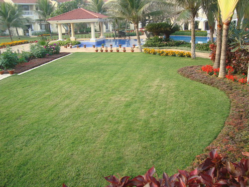 Landscape Designing & Execute