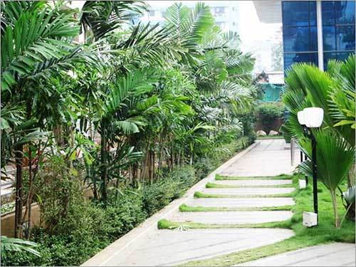 Horticultural Landscapes Services