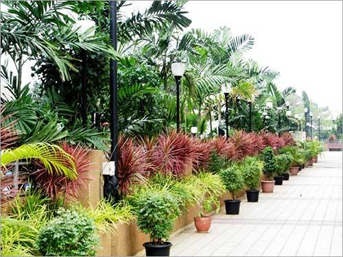 Landscaping Waterfalls Services