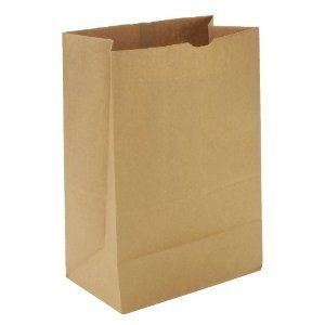 INDUSTRIAL PAPER BAG