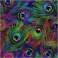 Viscose Digital Prints
