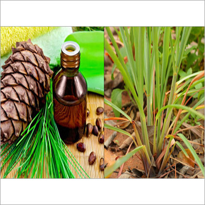 Palmarosa Essential Oil