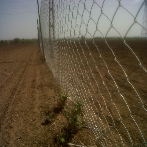 GI Wire Fencing