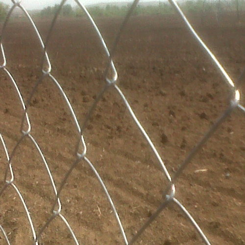 Chain Link Fence