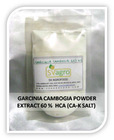 Garcinia Cambogia