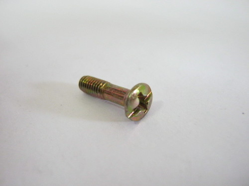Brass Screw