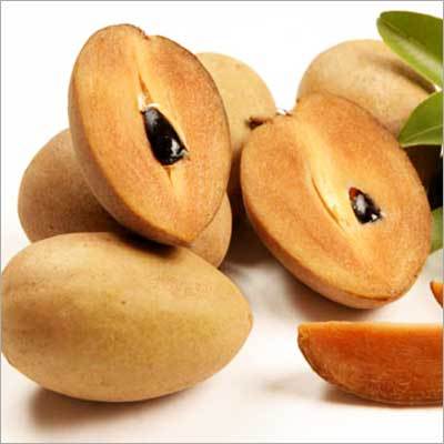 Alano Sapodilla