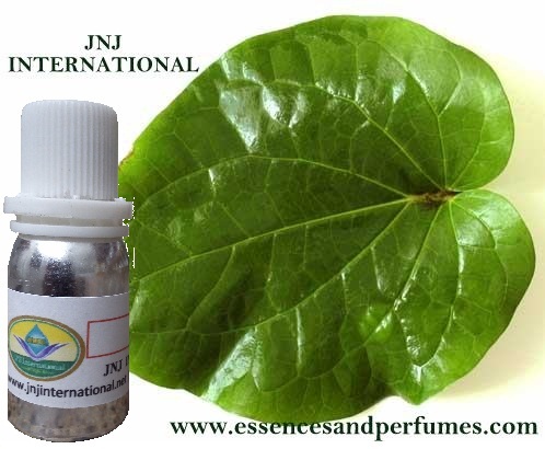 Betel Leaf Essential Oil