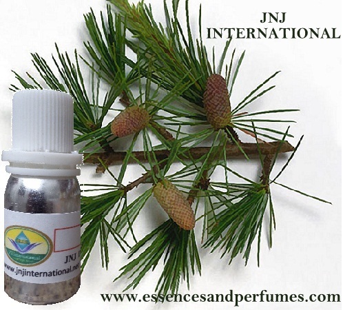 Cedar Wood Essential Oil