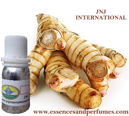 Galangal Essential Oil