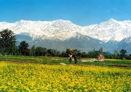 Kangra and Uttrakhand Himalayas