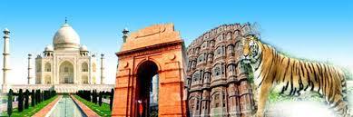 Golden Triangle & wildlife