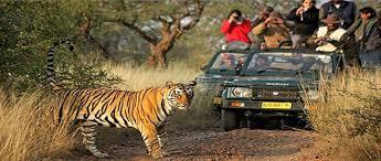 Tiger Land a Central India