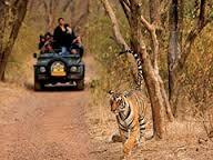 Programme III : Tiger Tour - 16 Days, Multiple Destinations, Hotels | Wildlife Viewing, Tiger Sightings, Guided Safaris, Cultural Immersion, Luxury Travel