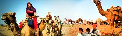 Wildlife South & Rajasthan