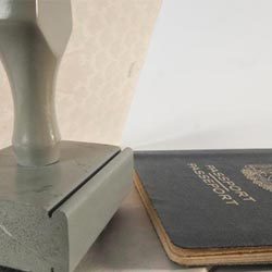 Visa, Medical & Immigration Clearance Services