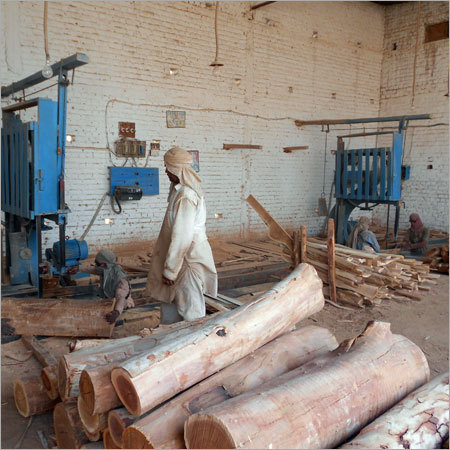 Raw Timber Wood Logs