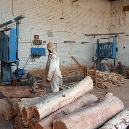 Raw Timber Wood Logs