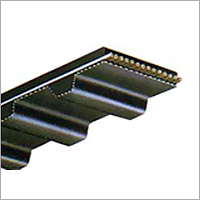 Timing Belts