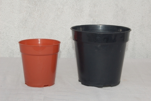 Nursery POt